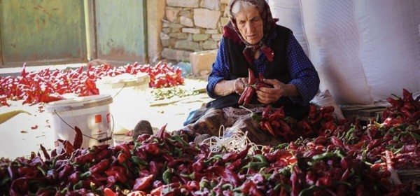Pobjednici RuralFoto 2026., izbora najbolje ruralne fotografije