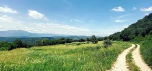 Poljoprivrednu aktivnost obaviti do 15. rujna ili ...