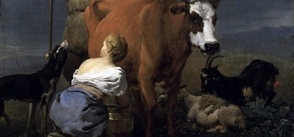 Povećana proizvodnja mlijeka na OPG-ima u 2024. godini