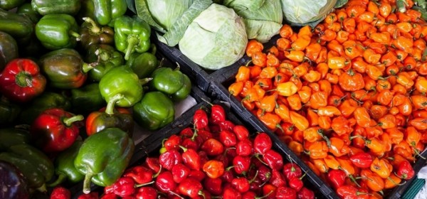 Potpora za ulaganja u preradu poljoprivrednih proizvoda