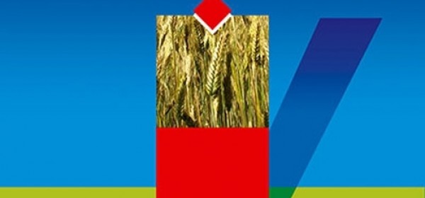 Položaj Hrvata se u Srbiji pogoršava