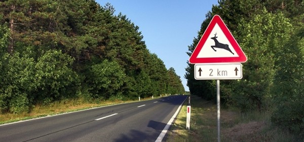 Izmjene Zakona o lovstvu u proceduri
