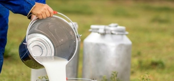 Program potpore malim mljekarama za sufinanciranje nabave opreme za sabiranje mlijeka 