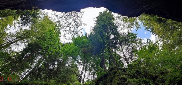 Danas je Međunarodni dan šuma 