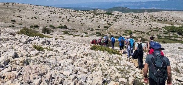 Nevjerojatan uspjeh Dominika Sedlara na Beverly Hills Film Festivalu