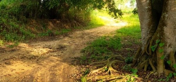Javni poziv za financiranje šumskih cesta u šumama malih šumoposjednika 