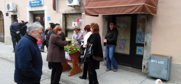 Akcija „Kupimo omiljeni cvijet Ane Rukavine“ u Senju