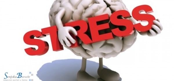 Predavanje: "Frustracija i stres - sličnosti i razlike" 