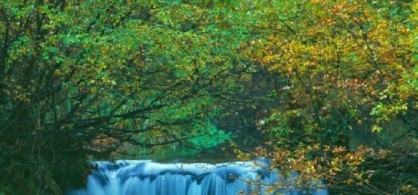 8. travnja - godišnjica proglašenja Plitvičkih jezera nacionalnim parkom