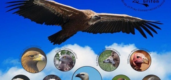 Ugašen Centar za zaštitu ptica grabljivica u Crniki