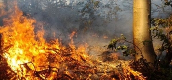 Jučer izgorjelo 20 hektara šume u Kuterevu i Ponorima 