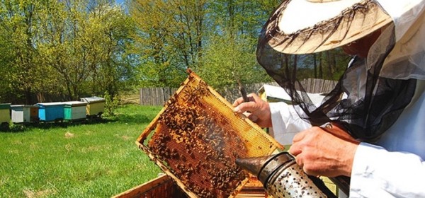 Pčelarima više europskog novca
