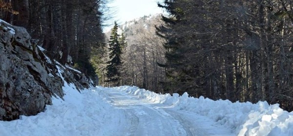 Uvjeti na cesti od ulaza Babić Siča i stanje u NP Sjeverni Velebit