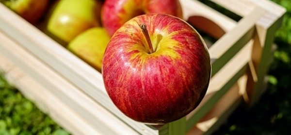 Pravilnik o dodjeli 20 milijuna kuna potpore proizvođačima jabuka u e-savjetovanju