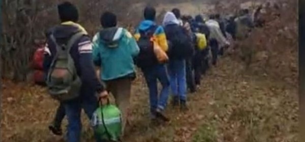 BiH policija u kolonama prevozi migrante tik uz hrvatsku granicu; MUP: 'Zabrinuti smo'