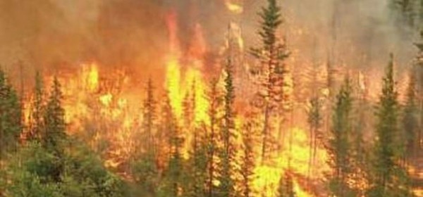 Jačanje kapaciteta zaštite od šumskih požara 