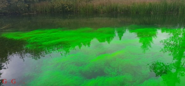 Na Plitvičkim jezerima ubacili boju
