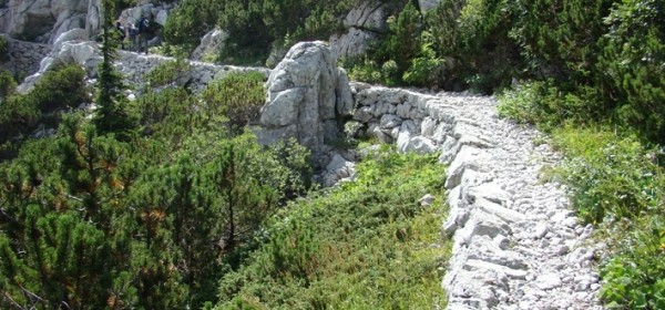 Poziv za rekonstrukciju Premužićeve i staze u Velebitskomu botaničkom vrtu