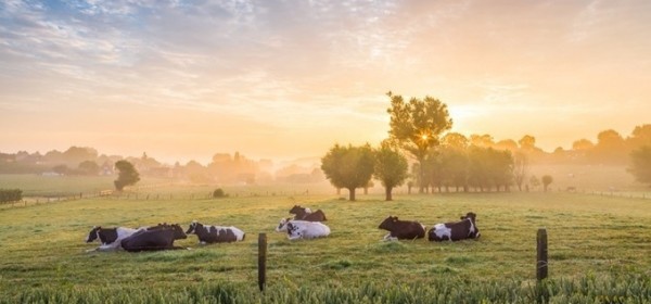 U saborsku proceduru upućena nova Strategija poljoprivrede te prijedlozi novih Zakona o poljoprivrednom zemljištu i o održivoj uporabi pesticida