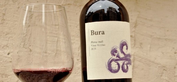 Vinska degustacija: Ventus Bura u senjskom hotelu Bura u gradu bure  